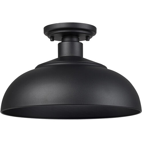Levitt 1 Light 13.63 inch Natural Black Outdoor Semi-flush